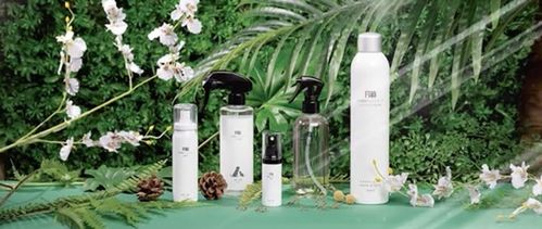 上海鯤盈環保 f118天然植物芬多精 中國國際進口博覽會空氣凈化治理