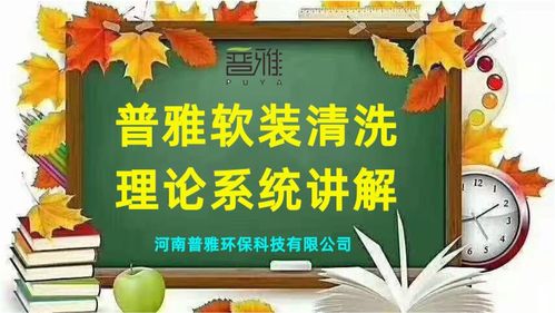 價值二三十萬的普雅軟裝清洗理論系統(tǒng)講解 20 保護(hù)涂層的特性
