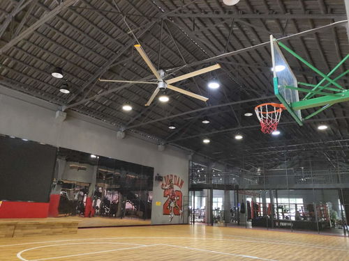 上海6.7米無刷直流吊扇,倉庫降溫風扇直流大風扇大直徑吊扇 上海愛樸環保科技供應