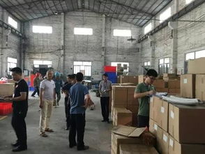 南海區(qū)人民政府門戶網(wǎng)站