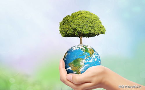 尚昂科技丨bpu無溶劑革,一種新型綠色環保皮革