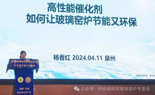 全國(guó)玻璃窯爐低碳環(huán)保及安全運(yùn)行技術(shù)交流會(huì)在泉州盛大召開(kāi)