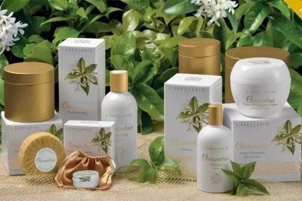 趨勢 時尚產業中的環保趨勢分析