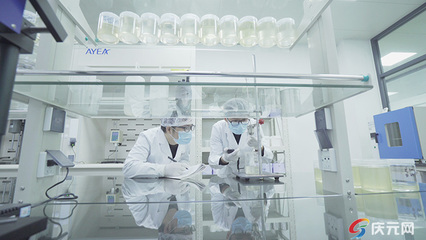 安益新材料:科技&ldquo;撬動&rdquo;創新 &ldquo;智造&rdquo;升級創造丨&ldquo;企&rdquo;動未來⑨