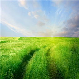 美博士環(huán)保科技公司新聞 公司地址