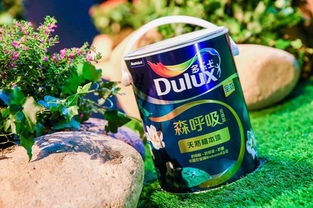 中國涂料十大品牌,多樂士環(huán)保漆領導者新品首發(fā)